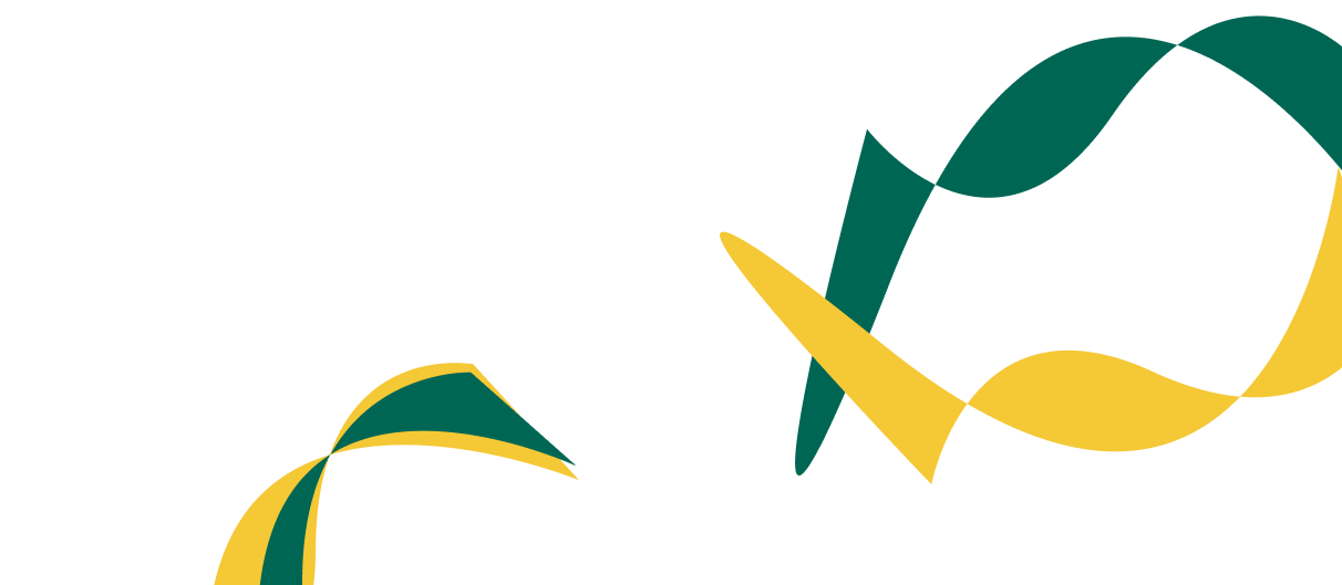 Expert Solutions for Corporate  Financial Success. - 黑白体育
